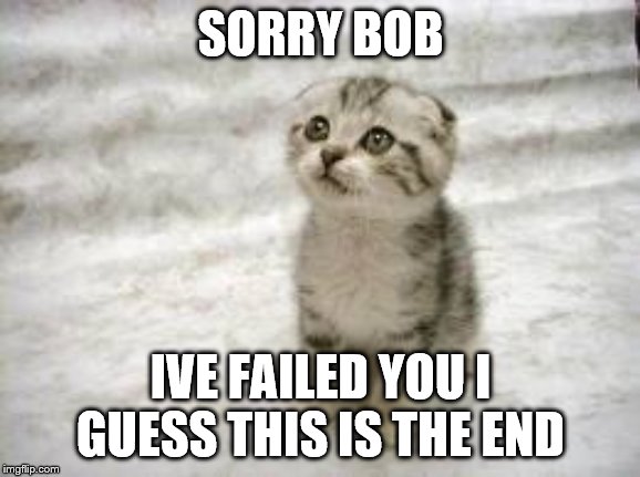 Sad Cat | SORRY BOB; IVE FAILED YOU I GUESS THIS IS THE END | image tagged in memes,sad cat | made w/ Imgflip meme maker