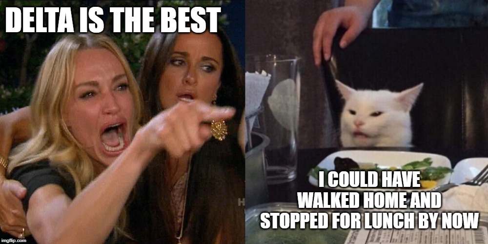 Woman yelling at cat | DELTA IS THE BEST; I COULD HAVE WALKED HOME AND STOPPED FOR LUNCH BY NOW | image tagged in woman yelling at cat | made w/ Imgflip meme maker