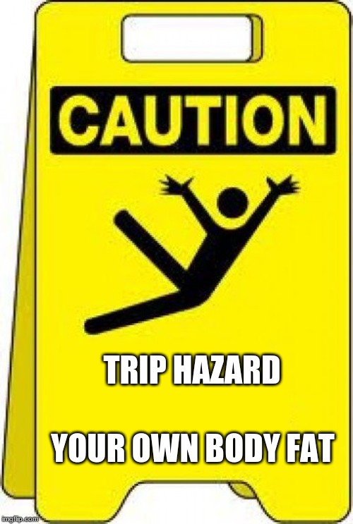 caution sign | TRIP HAZARD YOUR OWN BODY FAT | image tagged in caution sign | made w/ Imgflip meme maker