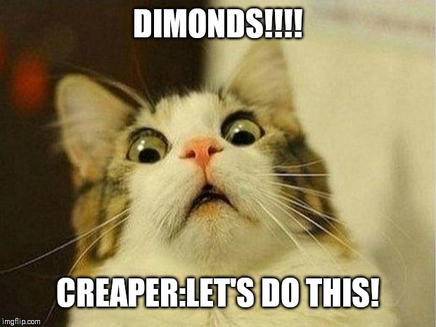 Scared Cat | DIMONDS!!!! CREAPER:LET'S DO THIS! | image tagged in memes,scared cat | made w/ Imgflip meme maker