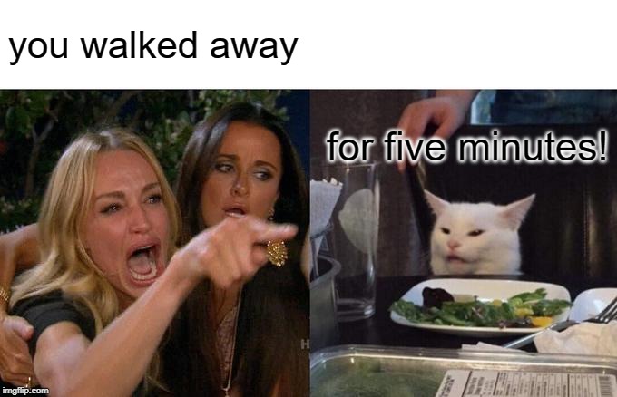 Woman Yelling At Cat Meme | you walked away for five minutes! | image tagged in memes,woman yelling at cat | made w/ Imgflip meme maker