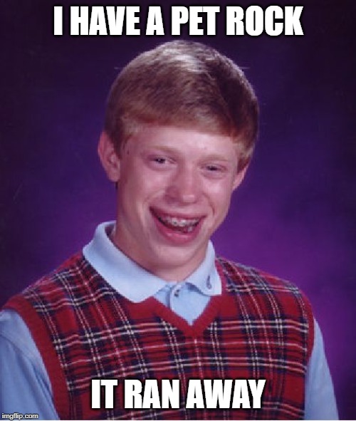Bad Luck Brian Meme | I HAVE A PET ROCK; IT RAN AWAY | image tagged in memes,bad luck brian | made w/ Imgflip meme maker