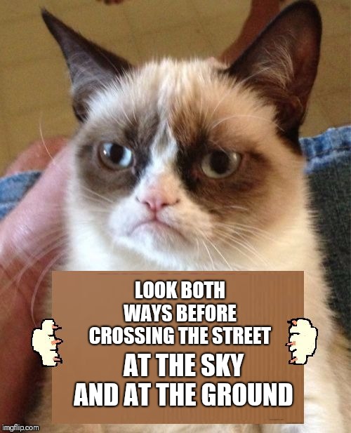 Grumpy Cat Cardboard Sign | AT THE SKY AND AT THE GROUND; LOOK BOTH WAYS BEFORE CROSSING THE STREET | image tagged in grumpy cat cardboard sign | made w/ Imgflip meme maker
