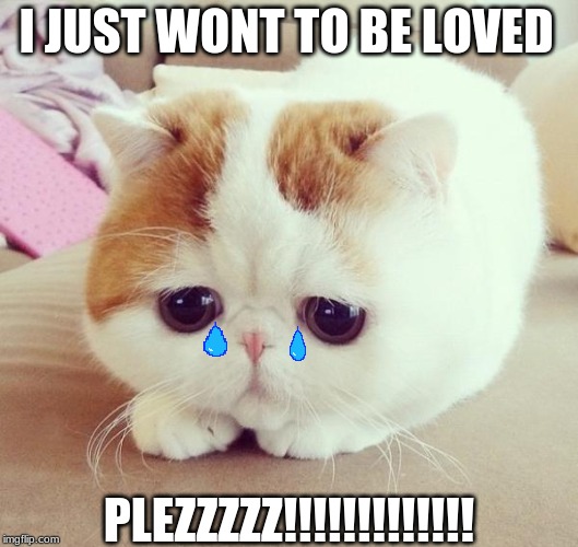 Sad Cat | I JUST WONT TO BE LOVED; PLEZZZZZ!!!!!!!!!!!!! | image tagged in sad cat | made w/ Imgflip meme maker