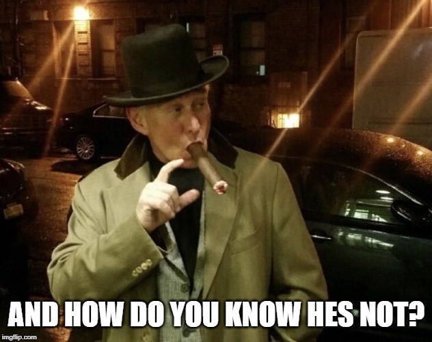 Roger Stone | AND HOW DO YOU KNOW HES NOT? | image tagged in roger stone | made w/ Imgflip meme maker