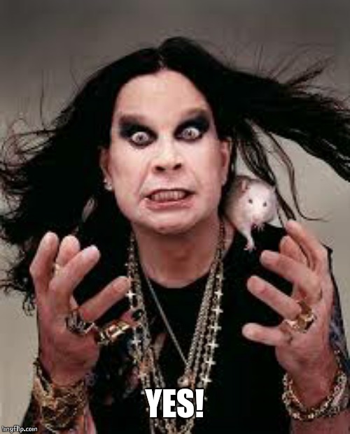 ozzy big eyes | YES! | image tagged in ozzy big eyes | made w/ Imgflip meme maker