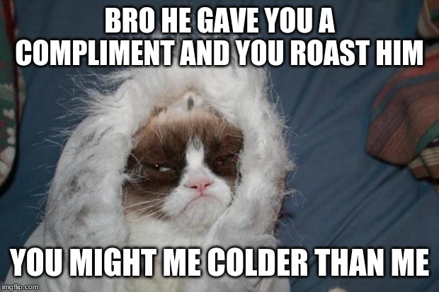 Cold grumpy cat  | BRO HE GAVE YOU A COMPLIMENT AND YOU ROAST HIM YOU MIGHT ME COLDER THAN ME | image tagged in cold grumpy cat | made w/ Imgflip meme maker