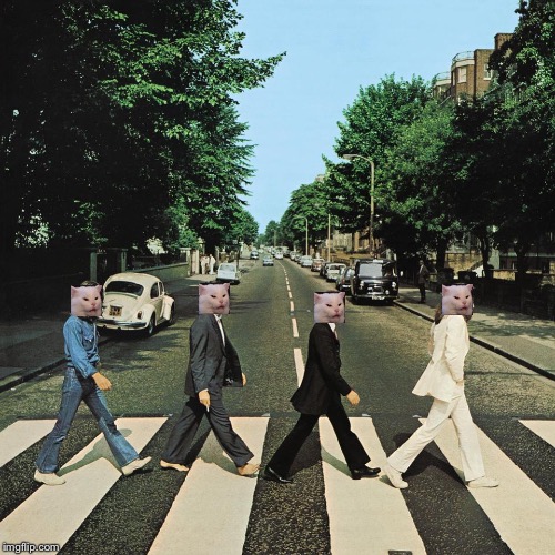 How can we be expected to approve your Pull Request if it can't even fit inside the building? The center for kids who can't read good andwa | image tagged in smudge the cat,beatles abbey road | made w/ Imgflip meme maker