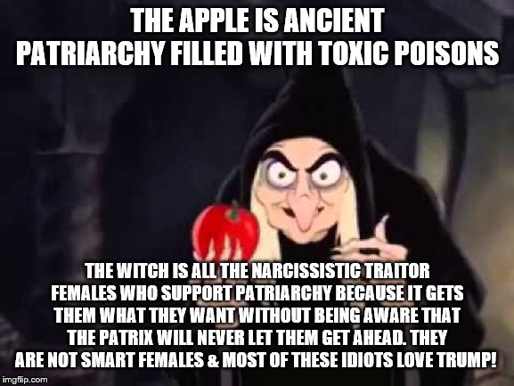 Poisoned apple | THE APPLE IS ANCIENT PATRIARCHY FILLED WITH TOXIC POISONS; THE WITCH IS ALL THE NARCISSISTIC TRAITOR FEMALES WHO SUPPORT PATRIARCHY BECAUSE IT GETS THEM WHAT THEY WANT WITHOUT BEING AWARE THAT THE PATRIX WILL NEVER LET THEM GET AHEAD. THEY ARE NOT SMART FEMALES & MOST OF THESE IDIOTS LOVE TRUMP! | image tagged in poisoned apple | made w/ Imgflip meme maker