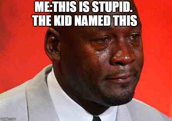 crying michael jordan | ME:THIS IS STUPID. 
THE KID NAMED THIS | image tagged in crying michael jordan | made w/ Imgflip meme maker