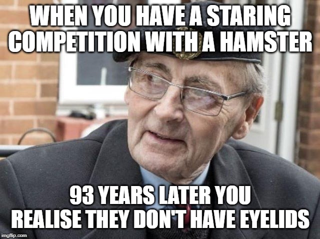 WHEN YOU HAVE A STARING COMPETITION WITH A HAMSTER; 93 YEARS LATER YOU REALISE THEY DON'T HAVE EYELIDS | image tagged in old man | made w/ Imgflip meme maker
