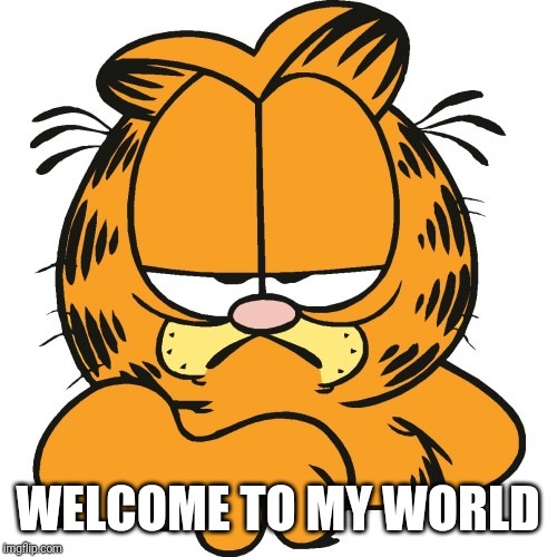 Garfield | WELCOME TO MY WORLD | image tagged in garfield | made w/ Imgflip meme maker