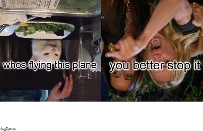 Woman Yelling At Cat Meme | whos flying this plane; you better stop it | image tagged in memes,woman yelling at cat | made w/ Imgflip meme maker