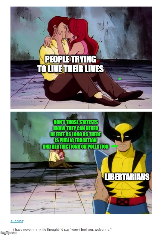 PEOPLE TRYING TO LIVE THEIR LIVES; DON'T THOSE STATISTS KNOW THEY CAN NEVER BE FREE AS LONG AS THERE IS PUBLIC EDUCATION AND RESTRICTIONS ON POLLUTION; LIBERTARIANS | image tagged in libertarian | made w/ Imgflip meme maker