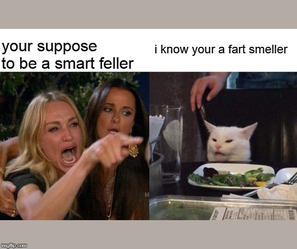 Woman Yelling At Cat | i know your a fart smeller; your suppose to be a smart feller | image tagged in memes,woman yelling at cat | made w/ Imgflip meme maker