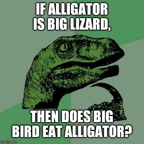 Philosoraptor Meme | IF ALLIGATOR IS BIG LIZARD, THEN DOES BIG BIRD EAT ALLIGATOR? | image tagged in memes,philosoraptor | made w/ Imgflip meme maker