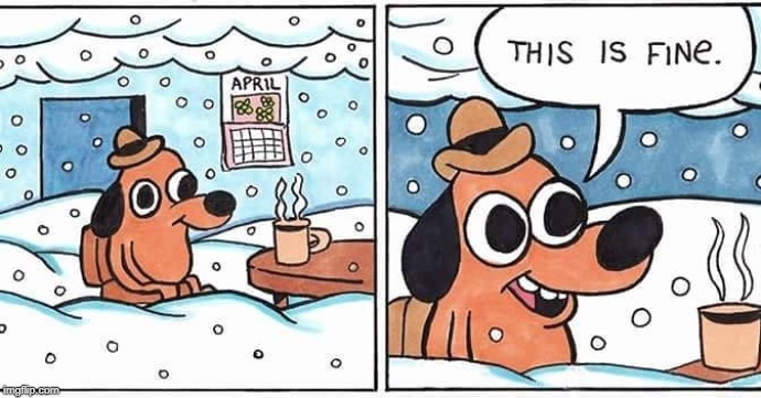 This is fine | image tagged in memes,funny,christmas,this is fine dog,dogs,snow | made w/ Imgflip meme maker