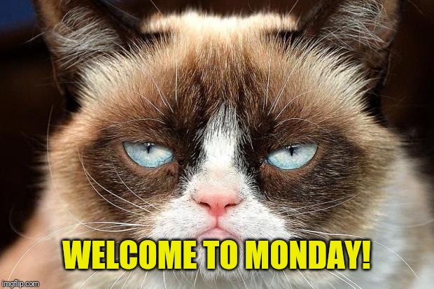 Grumpy Cat Not Amused Meme | WELCOME TO MONDAY! | image tagged in memes,grumpy cat not amused,grumpy cat | made w/ Imgflip meme maker