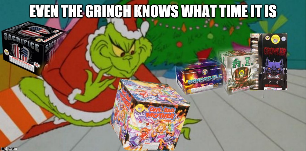 It's time for some fun | EVEN THE GRINCH KNOWS WHAT TIME IT IS | image tagged in grinch,christmas,fun | made w/ Imgflip meme maker