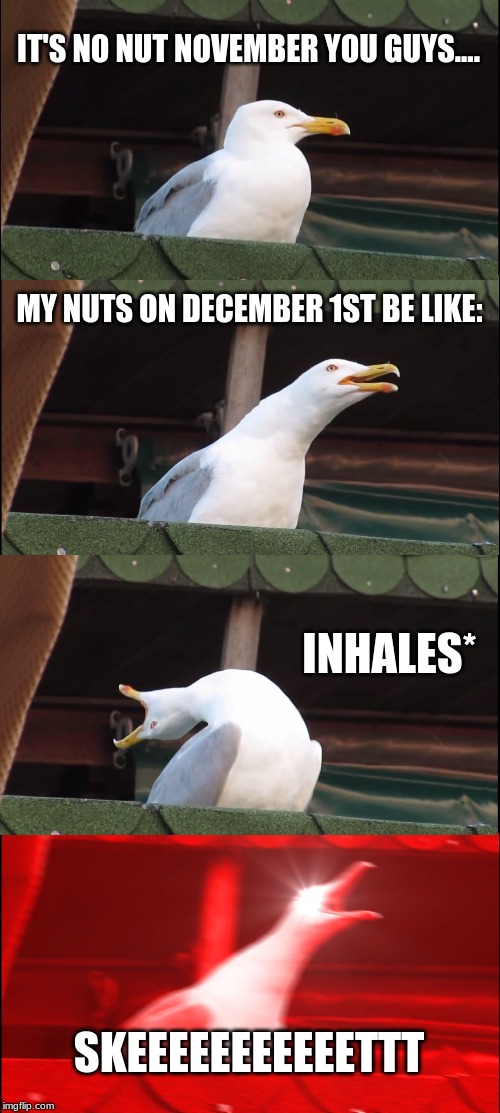 Inhaling Seagull | IT'S NO NUT NOVEMBER YOU GUYS.... MY NUTS ON DECEMBER 1ST BE LIKE:; INHALES*; SKEEEEEEEEEEETTT | image tagged in memes,inhaling seagull | made w/ Imgflip meme maker