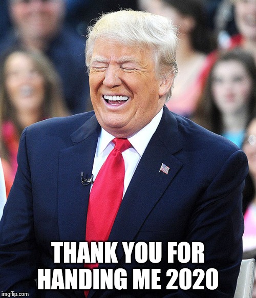 trump laughing | THANK YOU FOR HANDING ME 2020 | image tagged in trump laughing | made w/ Imgflip meme maker