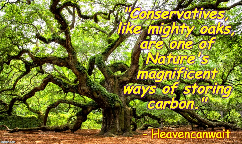 You're matter. | "Conservatives,
like mighty oaks,
are one of
Nature's
magnificent
ways of storing
carbon."; - Heavencanwait | image tagged in memes,conservatives,you're matter | made w/ Imgflip meme maker