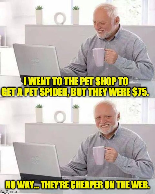 Hide the Pain Harold Meme | I WENT TO THE PET SHOP TO GET A PET SPIDER, BUT THEY WERE $75. NO WAY… THEY’RE CHEAPER ON THE WEB. | image tagged in memes,hide the pain harold | made w/ Imgflip meme maker