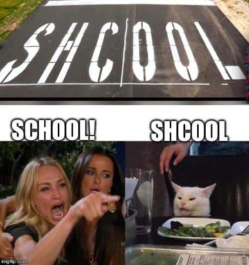 Shcool | SHCOOL; SCHOOL! | image tagged in memes,woman yelling at cat | made w/ Imgflip meme maker