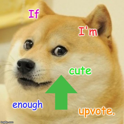 Doge Meme | If; I'm; cute; enough; upvote. | image tagged in memes,doge | made w/ Imgflip meme maker