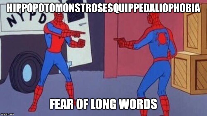 spiderman pointing at spiderman | HIPPOPOTOMONSTROSESQUIPPEDALIOPHOBIA; FEAR OF LONG WORDS | image tagged in spiderman pointing at spiderman | made w/ Imgflip meme maker
