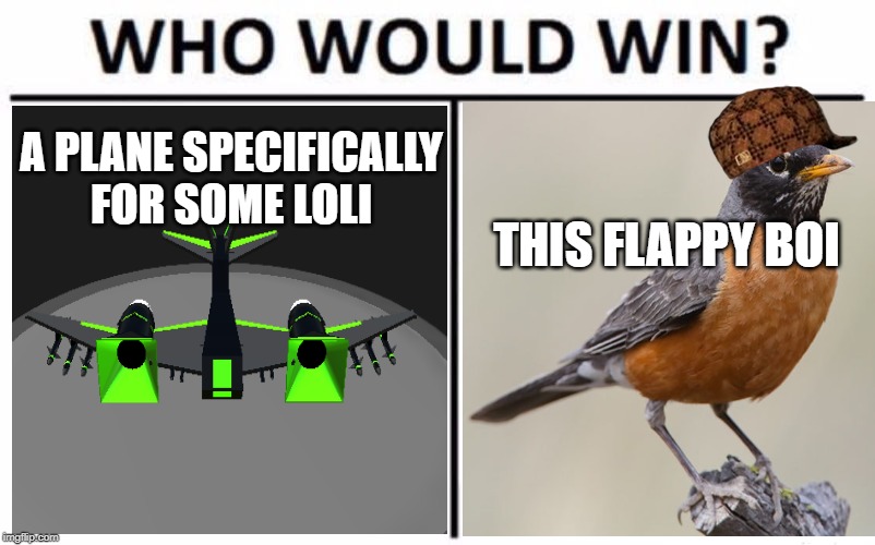 Scumbag Bird | A PLANE SPECIFICALLY FOR SOME LOLI; THIS FLAPPY BOI | image tagged in memes,who would win,funny,airplanes,simpleplanes | made w/ Imgflip meme maker