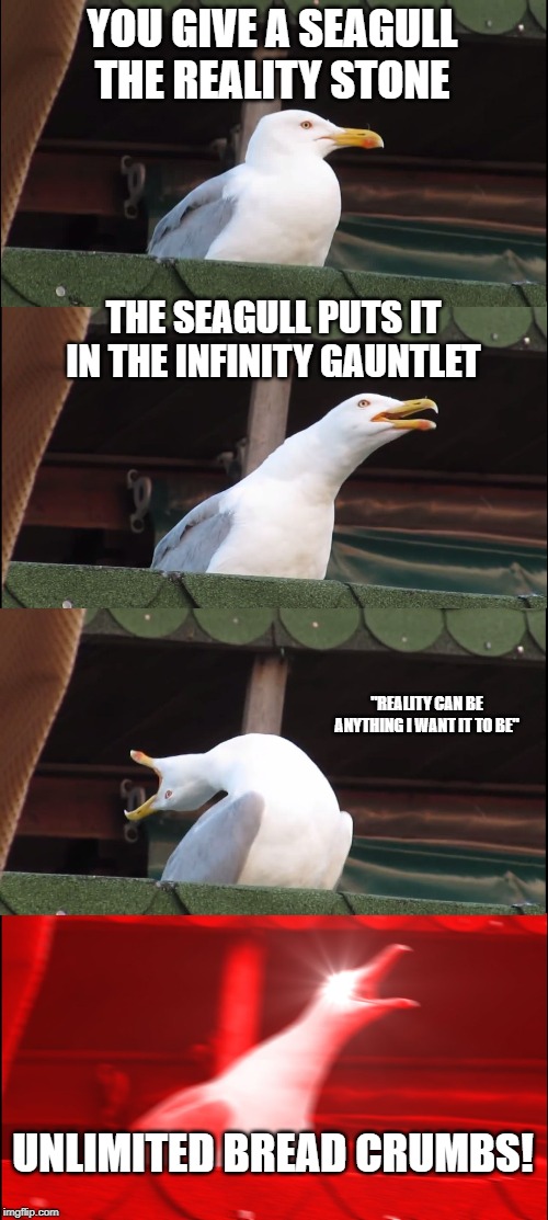 Inhaling Seagull | YOU GIVE A SEAGULL THE REALITY STONE; THE SEAGULL PUTS IT IN THE INFINITY GAUNTLET; "REALITY CAN BE ANYTHING I WANT IT TO BE"; UNLIMITED BREAD CRUMBS! | image tagged in memes,inhaling seagull | made w/ Imgflip meme maker