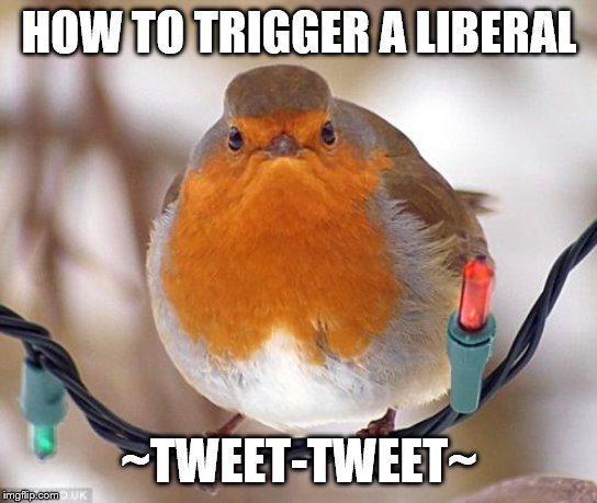 Tweet | HOW TO TRIGGER A LIBERAL; ~TWEET-TWEET~ | image tagged in memes,bah humbug,political meme | made w/ Imgflip meme maker