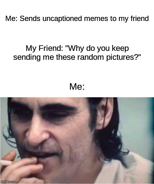 It sometimes be like that | Me: Sends uncaptioned memes to my friend; My Friend: "Why do you keep sending me these random pictures?"; Me: | image tagged in memes,lol | made w/ Imgflip meme maker