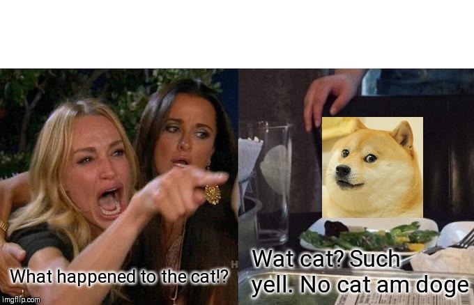 Woman yelling at Doge | Wat cat? Such yell. No cat am doge; What happened to the cat!? | image tagged in memes,woman yelling at cat,doge | made w/ Imgflip meme maker