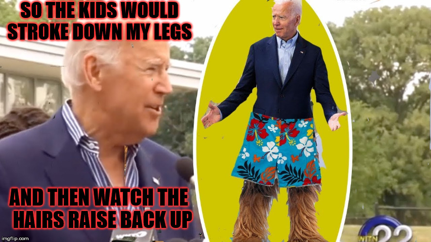 Creepy Joe Biden, So I Got Hairy Legs | SO THE KIDS WOULD STROKE DOWN MY LEGS; AND THEN WATCH THE   HAIRS RAISE BACK UP | image tagged in joe biden,creepy,memes,sasquatch,hairy legs,one does not simply | made w/ Imgflip meme maker