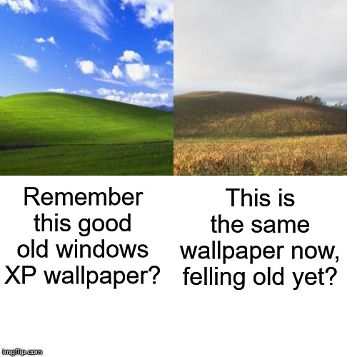 Blank Transparent Square Meme | This is the same wallpaper now, felling old yet? Remember this good old windows XP wallpaper? | image tagged in memes,blank transparent square | made w/ Imgflip meme maker