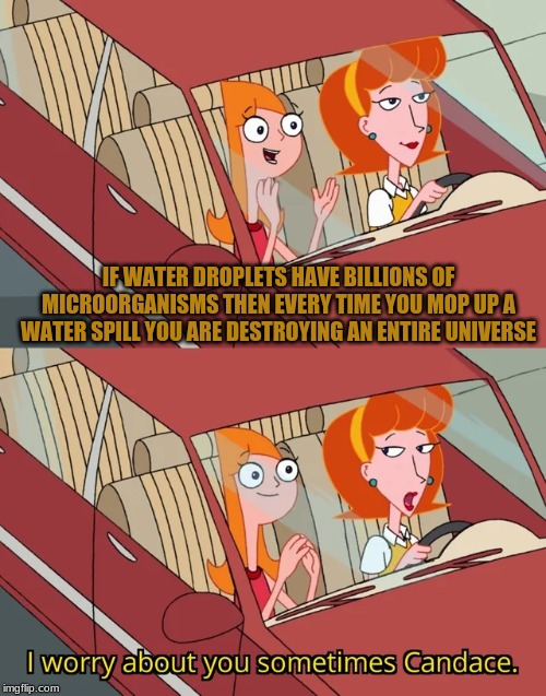 I worry about you sometimes Candace | IF WATER DROPLETS HAVE BILLIONS OF MICROORGANISMS THEN EVERY TIME YOU MOP UP A WATER SPILL YOU ARE DESTROYING AN ENTIRE UNIVERSE | image tagged in i worry about you sometimes candace | made w/ Imgflip meme maker