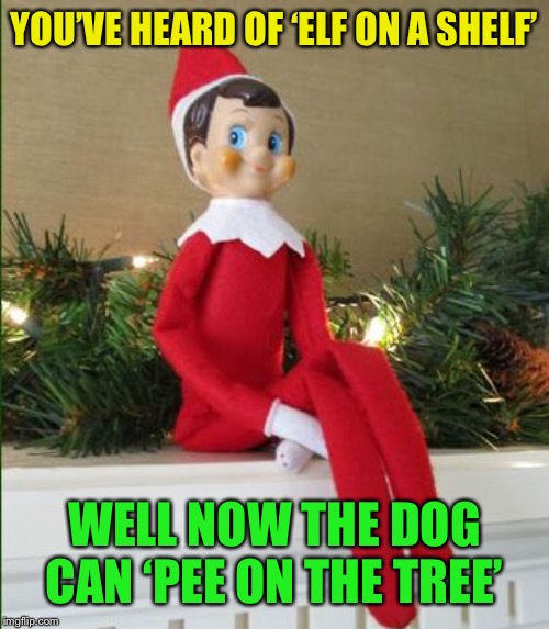 Elf on a Shelf | YOU’VE HEARD OF ‘ELF ON A SHELF’ WELL NOW THE DOG CAN ‘PEE ON THE TREE’ | image tagged in elf on a shelf | made w/ Imgflip meme maker