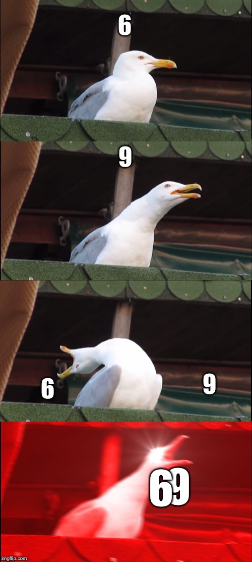 Inhaling Seagull | 6; 9; 9; 6; 6; 9 | image tagged in memes,inhaling seagull | made w/ Imgflip meme maker