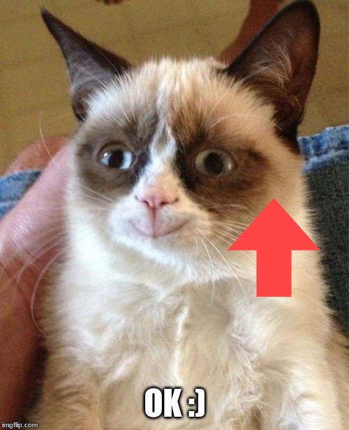 Grumpy Cat Happy Meme | OK :) | image tagged in memes,grumpy cat happy,grumpy cat | made w/ Imgflip meme maker