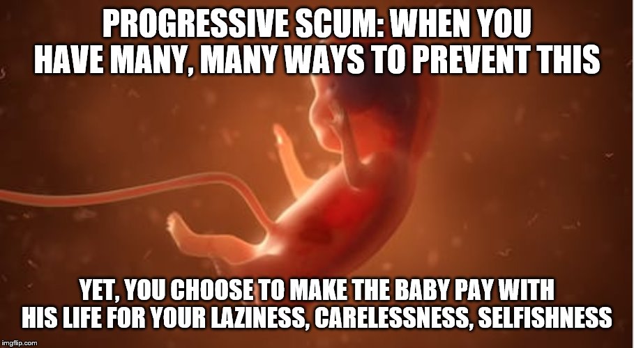 A fetus, the most vulnerable and least protected of all. It's predator: Liberal scum | PROGRESSIVE SCUM: WHEN YOU HAVE MANY, MANY WAYS TO PREVENT THIS; YET, YOU CHOOSE TO MAKE THE BABY PAY WITH HIS LIFE FOR YOUR LAZINESS, CARELESSNESS, SELFISHNESS | image tagged in fetus,memes,politics | made w/ Imgflip meme maker