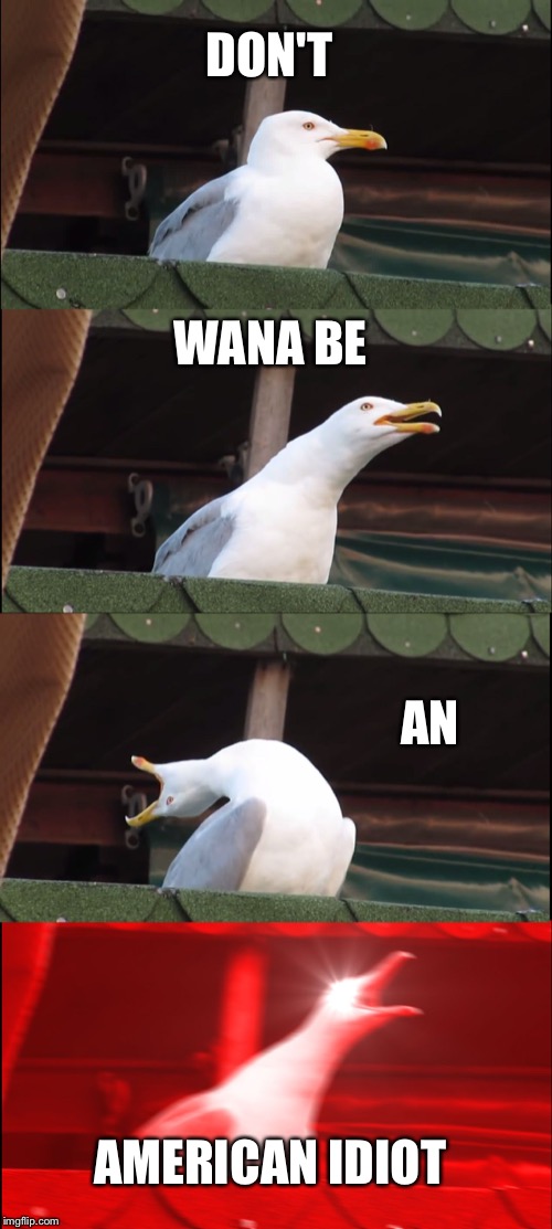Inhaling Seagull | DON'T; WANA BE; AN; AMERICAN IDIOT | image tagged in memes,inhaling seagull | made w/ Imgflip meme maker