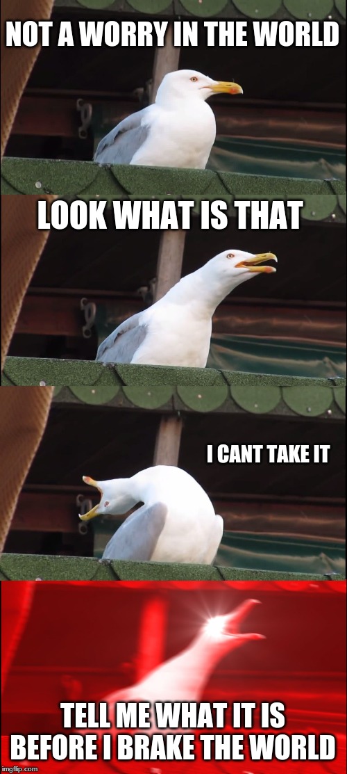 Inhaling Seagull | NOT A WORRY IN THE WORLD; LOOK WHAT IS THAT; I CANT TAKE IT; TELL ME WHAT IT IS BEFORE I BRAKE THE WORLD | image tagged in memes,inhaling seagull | made w/ Imgflip meme maker
