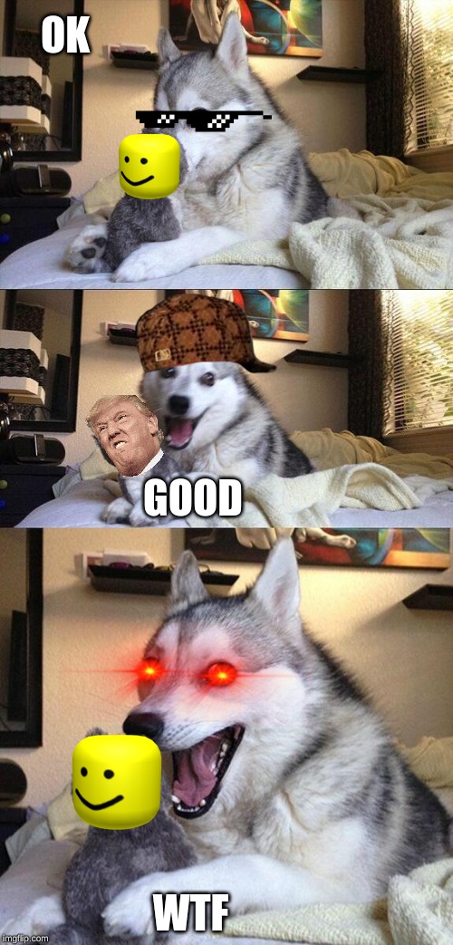 Bad Pun Dog Meme | OK; GOOD; WTF | image tagged in memes,bad pun dog | made w/ Imgflip meme maker