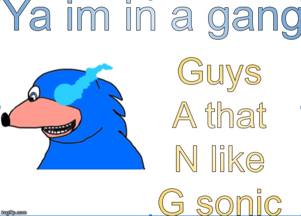 SoNIc | image tagged in gangsta,sonic | made w/ Imgflip meme maker