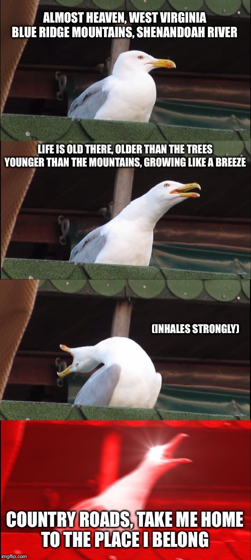 Inhaling Seagull Meme | ALMOST HEAVEN, WEST VIRGINIA
BLUE RIDGE MOUNTAINS, SHENANDOAH RIVER; LIFE IS OLD THERE, OLDER THAN THE TREES
YOUNGER THAN THE MOUNTAINS, GROWING LIKE A BREEZE; (INHALES STRONGLY); COUNTRY ROADS, TAKE ME HOME
TO THE PLACE I BELONG | image tagged in memes,inhaling seagull | made w/ Imgflip meme maker