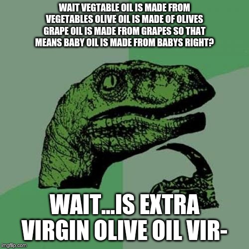 Philosoraptor | WAIT VEGTABLE OIL IS MADE FROM VEGETABLES OLIVE OIL IS MADE OF OLIVES GRAPE OIL IS MADE FROM GRAPES SO THAT MEANS BABY OIL IS MADE FROM BABYS RIGHT? WAIT...IS EXTRA VIRGIN OLIVE OIL VIR- | image tagged in memes,philosoraptor | made w/ Imgflip meme maker