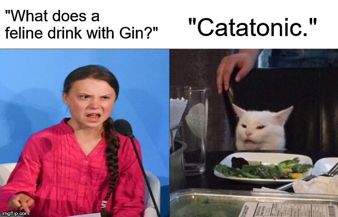 Woman Yelling At Cat | "What does a feline drink with Gin?"; "Catatonic." | image tagged in memes,woman yelling at cat | made w/ Imgflip meme maker