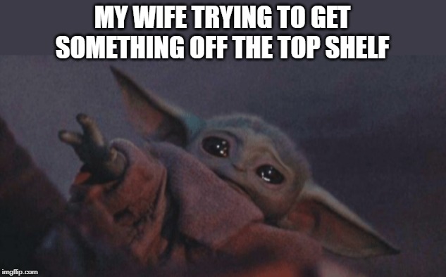 Baby yoda cry | MY WIFE TRYING TO GET SOMETHING OFF THE TOP SHELF | image tagged in baby yoda cry | made w/ Imgflip meme maker